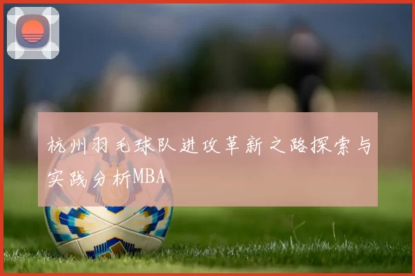 杭州羽毛球队进攻革新之路探索与实践分析MBA