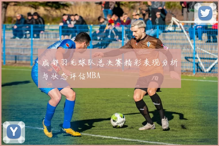 成都羽毛球队总决赛精彩表现分析与状态评估MBA
