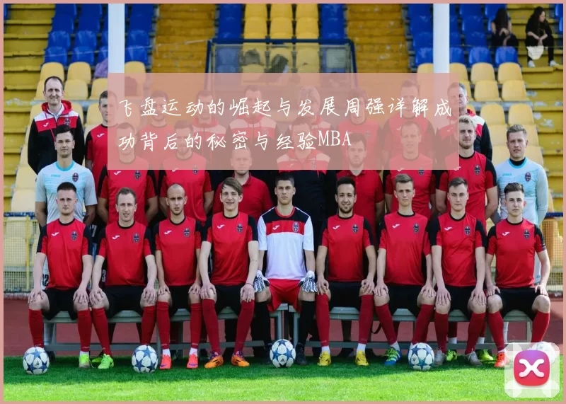 飞盘运动的崛起与发展周强详解成功背后的秘密与经验MBA