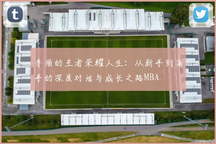 李丽的王者荣耀人生：从新手到高手的深度对话与成长之路MBA