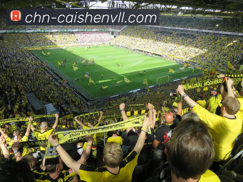 App Interface Preview